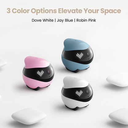 EBO Air 2 Companion Robot