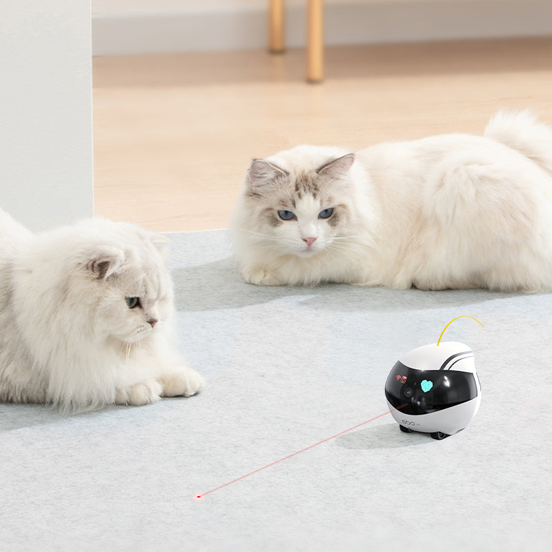 EBO Air Pet Robot Movable Camera