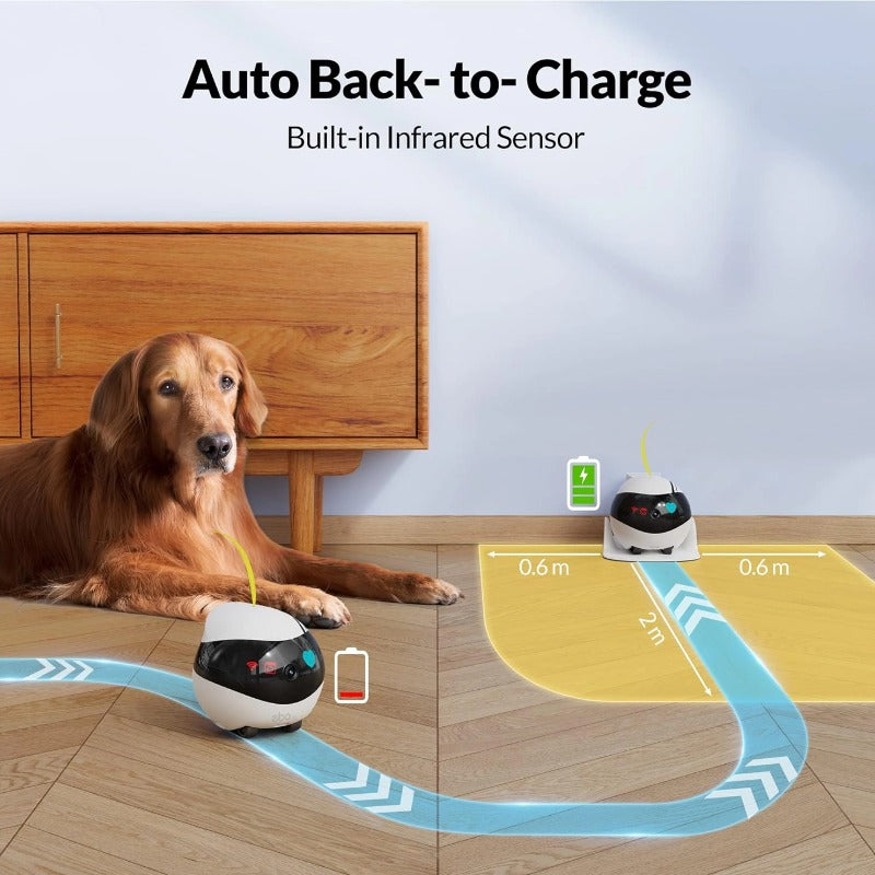 EBO Air Pet Robot Movable Camera